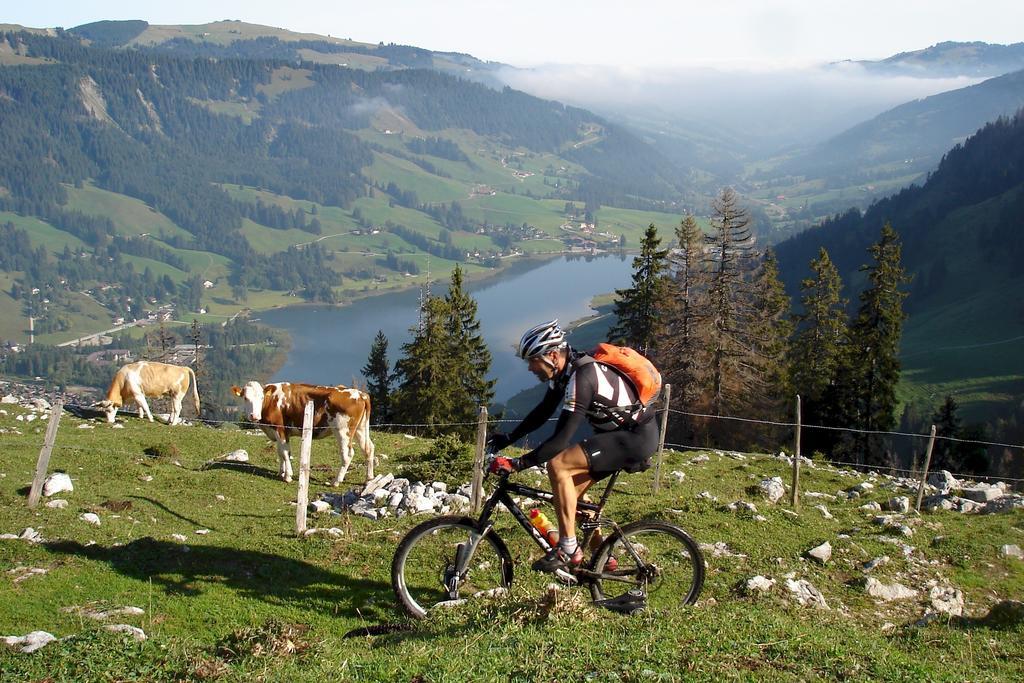 Hostellerie Am Schwarzsee Bad-Schwarzsee Экстерьер фото
